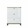 TJLSS Household Furniture Shoe Cabinet Dormitory Hallway Entrance Shoe Rack Apartment Hotel Storage Rack Shoe Rack (Color : D, Size : 100 * 17 *