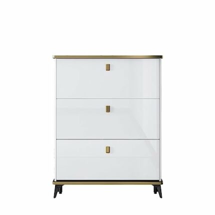 TJLSS Household Furniture Shoe Cabinet Dormitory Hallway Entrance Shoe Rack Apartment Hotel Storage Rack Shoe Rack (Color : D, Size : 100 * 17 *
