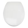 Amazon Basics Heavy-Duty Soft-Close and Quick-Release Urea Toilet Seat, Universal Size