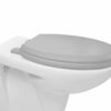 Bemis 5000ZAR492 Chicago Toilet Seat, Whisper Grey