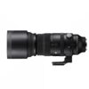 150-600mm F5/-6.3 DG DN for L-Mount