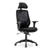 HNNHOME Recline Ergonomic Office Chair with Back Support and Headrest, Tilt Function Position Lock, Home Office Computer Desk Chair with Lumbar S