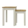 Galano Sufy Nest of 2 Tables Unit - Modern Sofa Side Table for Living Room - Small and Light Multilevel Coffee Table Set - ‎33 x 48 x 46.5 cm - L