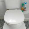 Bathroom Toilet Stool, Medically Tested Squatting Position, Non-Invasive Remedy For Haemorrhoids, IBS, Bloating, Flatulence, Constipation - Align