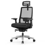 Duwinson Ergonomic Home Office Chair With 4-Way Adjustment Armrest, Mesh Computer Desk Chair, Reclining Adjustment Back Support, Adjustable Headr
