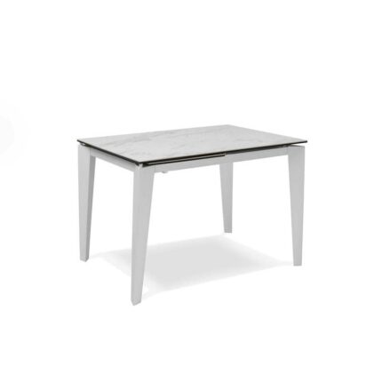 SOLOLED Extending Table from 120 cm to 170 cm Modern Dining Room with an Extension Ceramic Top on Tempered Glass and Metal Legs Width 80 cm for 6