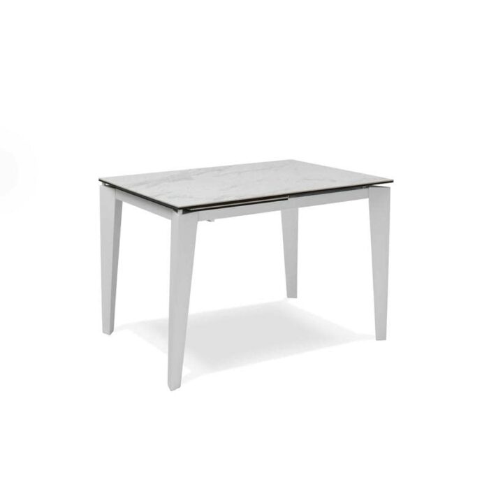 SOLOLED Extending Table from 120 cm to 170 cm Modern Dining Room with an Extension Ceramic Top on Tempered Glass and Metal Legs Width 80 cm for 6