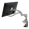 Neo Flex LCD Arm Xt 45-174-300-01, Silver