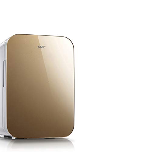 RJJ Vehicle-mounted Mini Refrigerator Small Student Dormitory Bedroom Rental Car Home Dual-use Insulin Refrigerator Box Portable Refrigeration Re