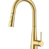 Tohlar Kitchen Tap, Gold Kitchen Tap, Kitchen Taps with Pull Out Spray Stainless Steel Kitchen Sink Tap Gold Kitchen Mixer Tap Brushed Gold Kitch