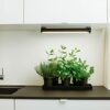 Wall Mounts