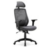 HNNHOME Recline Ergonomic Office Chair with Back Support and Headrest, Tilt Function Position Lock, Home Office Computer Desk Chair with Lumbar S