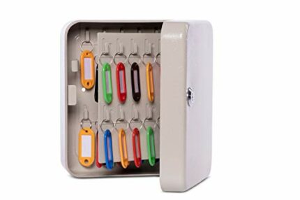 MAUL Wall Mounted Key Cabinet, 40 Keys, 20x16,5x8cm, Grey