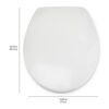 Amazon Basics Heavy-Duty Soft-Close and Quick-Release Urea Toilet Seat, Universal Size