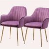 Modern Kitchen Dining Room Chairs Set Of 2 Velvet Dining Chairs,Sturdy Metal Feet with Armrests and Backrest Kitchen Living Room Chairs (Color :