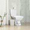STAUBER Best Potty Stool - Squatting Toilet Stool (Clear Acrylic, Unassembled)