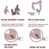 Bathroom Toilet Stool, Medically Tested Squatting Position, Non-Invasive Remedy For Haemorrhoids, IBS, Bloating, Flatulence, Constipation - Align