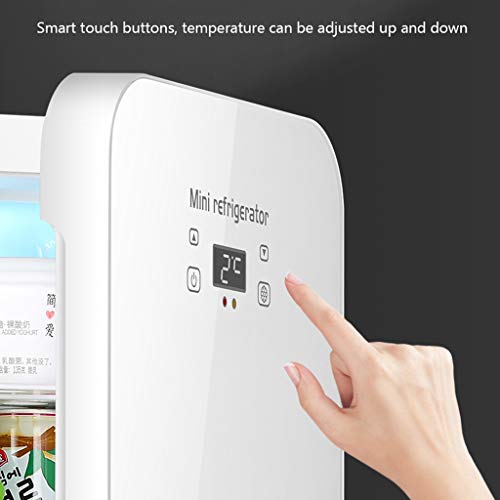 RJJ Vehicle-mounted Mini Refrigerator Small Student Dormitory Bedroom Rental Car Home Dual-use Insulin Refrigerator Box Portable Refrigeration Re