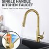 Tohlar Kitchen Tap, Gold Kitchen Tap, Kitchen Taps with Pull Out Spray Stainless Steel Kitchen Sink Tap Gold Kitchen Mixer Tap Brushed Gold Kitch