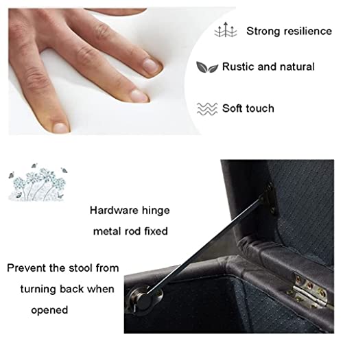 Light Luxury Sofa Stool Storage Stool Technology Cloth Metal Leg Clothing Store Shoe Changing Stool European Style Simple Bench Bed End Stool Hou