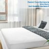 PlushDeluxe Bamboo Mattress Protector Waterproof, Hypoallergenic & Ultra Soft Breathable Cover & Protection - Free PVC, Phthalate (Double Size)