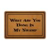 Ytanie Welcome Mats for Front Door Outdoor Entry Play Like A Champion Today Doormat Non Slip Rubber Mat for Home Indoor Farmhouse Funny Kitchen R