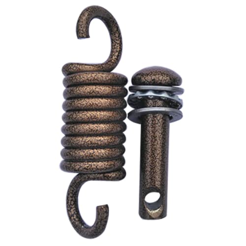 Fengtaike Egg Chair Swing Spring with Pin Plug and Silencer Ring, 500lbs Weight Capacity Hammock Chair Hanging kit for Hanging Egg Chair Swing, H