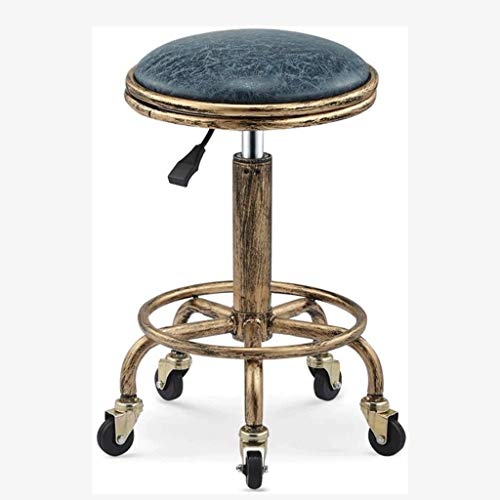 DINGZZ Bar Stools Adjustable Lifting Chair for Home Restaurant Beauty Tattoo Stool Creative Minimalist Barstools