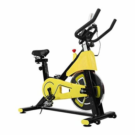 NXYJD Home Gym Quiet Sport Spinning Bike Weight Loss Cycling Exercise Bike Indoor Fitness Equipment