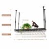 Bar Wine Rack Metal Iron Wine Rack Stylish Simplicity Ceiling Wine Rack Bar Special Goblet Rack Creative Display Stand Vintage Style Wine Rack Ad