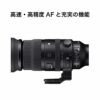 150-600mm F5/-6.3 DG DN for L-Mount