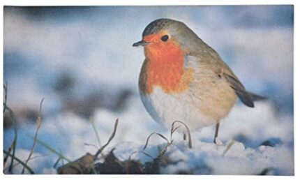 Fallen Fruits Robin Printed Doormat, RB152