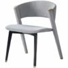 JJZXD Solid Wood Dining Chair Casual Back Chair Furniture Multi-Scene Applicable Versatile Chaise