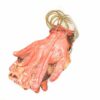 8Pcs Scary Halloween Body Parts Decoration Garland Door Room Bloody Party Banner Limbs - Arms and Feet Hanging with Blood