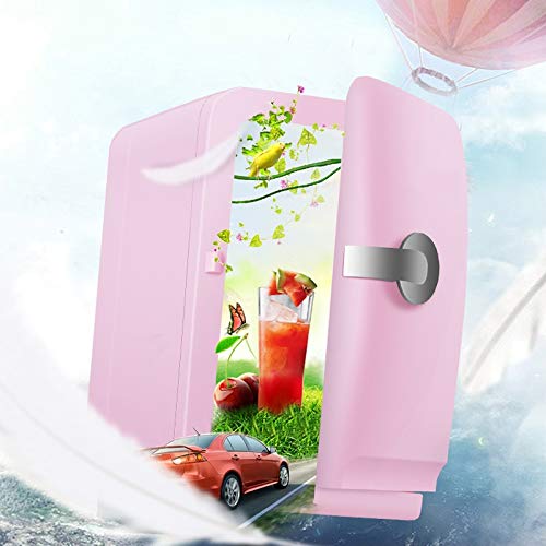 NXYJD Car Refrigerator Compact, Electric Reefer 5l Portable Mini Fridge Cosmetic Food Heating the Cooling Cooler