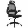 RYANGEL Office Chair, Ergonomic Office Desk Chair with Adjustable Headrest & Lumbar Support, Comfortable Executive Swivel Mesh Chair High Back Co