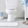 Amazon Basics Heavy-Duty Soft-Close and Quick-Release Urea Toilet Seat, Universal Size