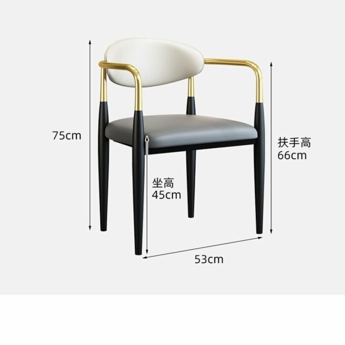 LUKEO Dining Chairs Armrest Backrest Adults Chair Ergonomic Soft Kitchen Furniture Decoration Chair (Color : D, Size : Light Grey)