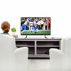 VIVO Universal LCD Flat Screen TV Table Top VESA Mount Stand Black | Base fits 22" to 65" (STAND-TV00Y)