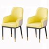 dining chair Kitchen Dining Room Furniture Chairs Dining Chairs Set Of 2 Living Room Armchair Modern High Back Padded Soft Seat Dining Chairs Wat