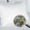 Allergosystem Anti Dust Mite Mattress Cover with Zip for Double Bed, Polypropylene (PP), White, 170x200x20 e 2: 50x80 cm