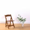 BZLSFHZ Upholstered Chair,Accent Chair with Armrest Single Sofa Stylish and The Golden Metal Frame Legs Home Kitchen Furniture
