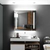 Tokvon® Alameda Bathroom Mirror Cabinet led illuminated light mirrored cabinet with led dimmer switch shaver socket demister strip lights 650x600