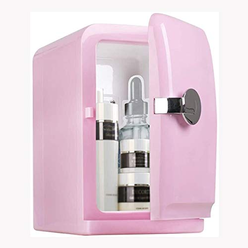 NXYJD Car Refrigerator Compact, Electric Reefer 5l Portable Mini Fridge Cosmetic Food Heating the Cooling Cooler
