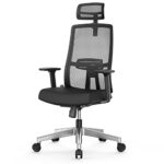 Duwinson Ergonomic Mesh Home Office Chair With Back Support, 3-Way Adjustment Armrest, Executive Desk Chair with Reclining Adjustment, Adjustable