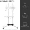 VIVO Mobile TV Cart for 32 to 83 inch Screens up to 50 kg, LCD LED OLED 4K Smart Flat and Curved Panels, Rolling Stand with Laptop DVD Shelf, Loc