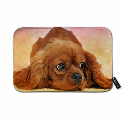 Sotyi-ltd Cavalier king charles spaniel Doormat Entrance Mat Floor Mat Rug Indoor/Front Door/Bathroom/Kitchen and Living Room/Bedroom Mats 23.6"(