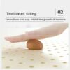 UE-MAOLU Winter Futon Mattress, Foldable Portable Japanese Floor Mattress with Anti-Slip Bottom,Shiki Futon, Roll Up Futon Mattress,for Camping C