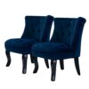 HULALA HOME Velvet Dining Chair Dressing Vanity Chairs Kitchen Upholstered Accent Chair with Black Legs for Dining Room Living Room Bedroom (1, B