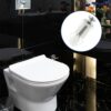 4 PCS Toilet Seat Fittings ,Stainless Steel Toilet Lid Top Seat Hinges Screws and Toilet Seat Fixings Bolt Expanding Nylon Nuts Screws Toilet Sea